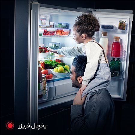 تصویر دسته بندی یخچال و فریزر