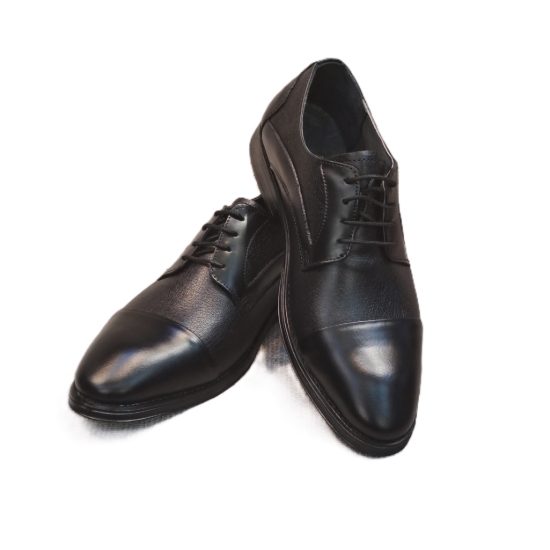 تصویر کفش چرم طبیعی  مردانه مدل برت شرانک